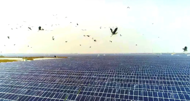 光伏太陽能